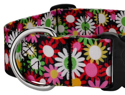 Country Brook Petz 1 1/2 Inch Deluxe Daisy Fields Dog Collar 5 Country Brook Petz 1 1/2 Inch Deluxe Daisy Fields Dog Collar - Image 3