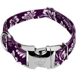 Country Brook Petz Premium Purple Hawaiian Dog Collar 13 Country Brook Petz Premium Purple Hawaiian Dog Collar -Pet Shop GUEST d1a17b0d 1c63 481f 985c dd44394c0f00