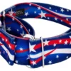 Country Brook Petz 1 1/2 Inch Star Spangled Martingale Dog Collar -Pet Shop GUEST d2fb9e91 39a0 487d b87d 7aa5a70b5ffb