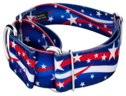 Country Brook Petz 1 1/2 Inch Star Spangled Martingale Dog Collar