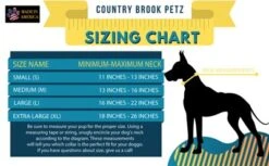 Country Brook Petz Premium Just Ducky Dog Collar