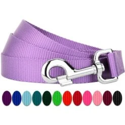 Country Brook Petz 6ft By 1 Inch Heavyduty Doublehandle Nylon Leash -Pet Shop GUEST d34e9c22 58a5 4681 9d5f ea59f85b1158