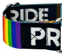 Country Brook Petz 1 1/2 Inch Pride Martingale Dog Collar -Pet Shop GUEST d356b2f3 b045 45d4 a29a 44177a4ae44b