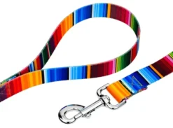 Country Brook Petz Serape Dog Leash (6 Foot, 1/2 Inch)