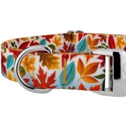 Country Brook Petz Premium Brisk Autumn Dog Collar 9 Country Brook Petz Premium Brisk Autumn Dog Collar -Pet Shop GUEST d4c2178a 9494 48d9 ba5b 83763bf53d5b