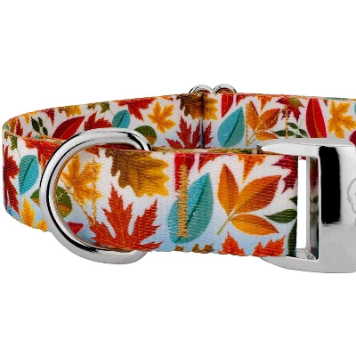 Country Brook Petz Premium Brisk Autumn Dog Collar 5 Country Brook Petz Premium Brisk Autumn Dog Collar - Image 3