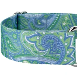 Country Brook Petz 2 Inch Green Paisley Martingale Dog Collar -Pet Shop GUEST d4d52a57 987c 4e97 9590 6e685848f530