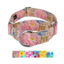 Country Brook Petz HossFit Jr Wide Martingale Dog Collar - Spring Collection -Pet Shop GUEST d534f185 5697 4ffd 8ce2 f38322b1bbe7