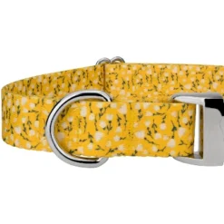 Country Brook Petz Premium Spring Cottagecore Dog Collar -Pet Shop GUEST d584e080 545f 4232 9c4a 30a12a0cd663