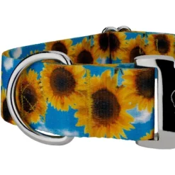 Country Brook Petz HossFit Jr Wide Premium Dog Collar - Floral Collection -Pet Shop GUEST d6534998 7a44 45eb a996 810af8b7fbc5