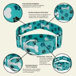 Country Brook Petz HossFit Jr Wide Martingale Dog Collar - Dog's Life Collection 17 Country Brook Petz HossFit Jr Wide Martingale Dog Collar - Dog's Life Collection -Pet Shop GUEST d72c41e5 df7a 450b 96e2 90ba0c51b09f