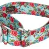 Country Brook Petz 1 1/2 Inch Vintage Roses Martingale Dog Collar -Pet Shop GUEST d72c8668 22a0 4ed7 888b e0f37d544fcd