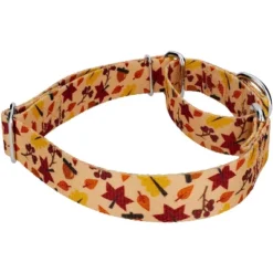 Country Brook Petz Fall Foliage Martingale Dog Collar And Leash -Pet Shop GUEST d7a7909c 155c 41fa 84de 8a35e44d5602