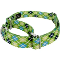 Country Brook Petz Margarita Argyle Martingale Dog Collar And Leash -Pet Shop GUEST d7d1f9e7 19b2 4c73 8804 458c92d02810 1