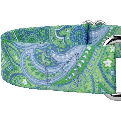Country Brook Petz Martingale Collar And Leash - Paisley Collection 7 Country Brook Petz Martingale Collar And Leash - Paisley Collection - Image 5