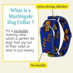 Country Brook Petz HossFit Jr Wide Martingale Dog Collar - Geek Chic Collection