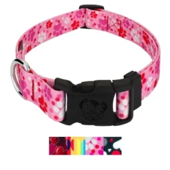 Country Brook Petz Deluxe Dog Collar - Affection Collection -Pet Shop GUEST d8bfa8bb d0cc 42c9 a3d6 9b5de16a7a9f