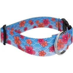 Country Brook Petz HossFit Jr Wide Deluxe Dog Collar - Spring Collection -Pet Shop GUEST d90849c1 4e03 4ae0 bbd4 1946f47115f8