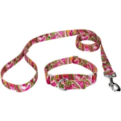 Country Brook Petz Pink Paisley Martingale Dog Collar And Leash 29 Country Brook Petz Pink Paisley Martingale Dog Collar And Leash -Pet Shop GUEST d93900a5 dd85 492a 8437 806560fe3e45
