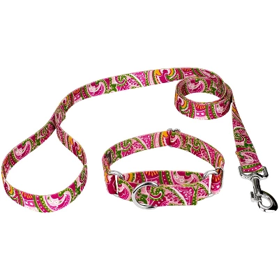 Country Brook Petz Pink Paisley Martingale Dog Collar And Leash 16 Country Brook Petz Pink Paisley Martingale Dog Collar And Leash - Image 14