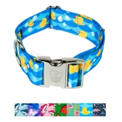 Country Brook Petz HossFit Jr Wide Premium Dog Collar - Critter Corner Collection -Pet Shop GUEST d98c07aa 378c 4a9b 8012 318811c8817b