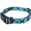 Country Brook Petz Deluxe Sharks Dog Collar And Leash -Pet Shop GUEST d9f01d94 970f 4317 a548 ac87343435d9