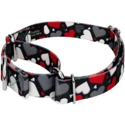 Country Brook Petz Martingale Dog Collar - Affection Collection