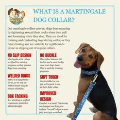 Country Brook Petz HossFit Jr Wide Martingale Dog Collar - Critter Corner Collection -Pet Shop GUEST da222f70 ad7d 46dd 8f4e 736c80f93df1