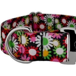 Country Brook Petz HossFit Jr Wide Premium Dog Collar - Floral Collection -Pet Shop GUEST da3971c2 0ec8 494a b569 dade693f18a3