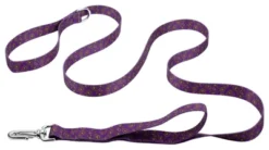 Country Brook Petz Purple Paisley Deluxe Reflective Dog Leash -Pet Shop GUEST da646647 6ed9 4fea bf82 d7a29cb8ef70