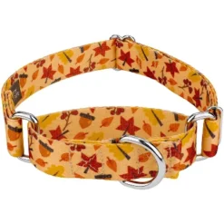 Country Brook Petz Fall Foliage Martingale Dog Collar -Pet Shop GUEST da7f1a55 285d 45d9 b901 f2f70ca650fa