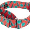 Country Brook Petz 1 1/2 Inch Tropical Tango Martingale Dog Collar 2 Country Brook Petz 1 1/2 Inch Tropical Tango Martingale Dog Collar -Pet Shop GUEST daa42c54 ef58 4a0a ba90 6851f7886288