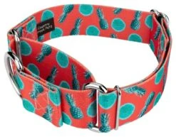 Country Brook Petz 1 1/2 Inch Tropical Tango Martingale Dog Collar