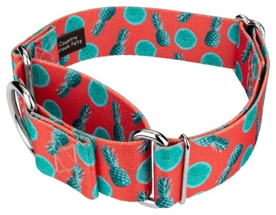 Country Brook Petz 1 1/2 Inch Tropical Tango Martingale Dog Collar 3 Country Brook Petz 1 1/2 Inch Tropical Tango Martingale Dog Collar
