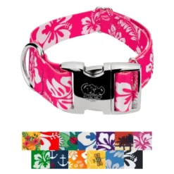 Country Brook Petz HossFit Jr Wide Premium Dog Collar - Summer Breeze Collection -Pet Shop GUEST daa9435d 9471 4cd1 a0a0 0b5c6cdb4088