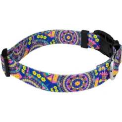 Country Brook Petz Deluxe Dog Collar - Groovy Collection -Pet Shop GUEST daaf8095 5109 4ae9 a408 ad25ed12de28