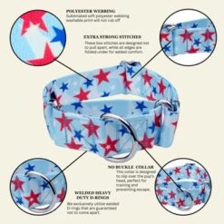 Country Brook Petz HossFit Jr Wide Martingale Dog Collar - Americana Collection -Pet Shop GUEST dacac608 9257 466e af6f 00bf82fc405e