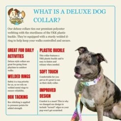 Country Brook Petz Deluxe Fashion Zebra Dog Collar - Made In The U.S.A. (1/2 Inch, Extra Small) -Pet Shop GUEST dae086a1 342f 46f5 839a c797e733d727