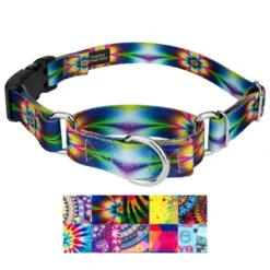 Country Brook Petz Martingale With Deluxe Buckle - Groovy Collection 9 Country Brook Petz Martingale With Deluxe Buckle - Groovy Collection -Pet Shop GUEST db64fbd8 0c69 411c aa6b 33c3caf02ca0