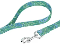 Country Brook Design® 1 Inch Green Paisley Leash - 6 Feet 9 Country Brook Design® 1 Inch Green Paisley Leash - 6 Feet -Pet Shop GUEST db835964 3c83 4fe0 be7f 91b9e9fa91bf 1