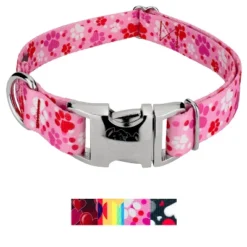 Country Brook Petz Premium Dog Collar - Affection Collection -Pet Shop GUEST db8757fe ded0 4960 a54a 6da0b2c31eb8