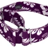 Country Brook Petz 1 1/2 Inch Purple Hawaiian Martingale Dog Collar -Pet Shop GUEST dc3e9f1c 726a 48c7 b4e6 e512887588ab