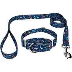 Country Brook Petz Dinosaurs Martingale Dog Collar And Leash -Pet Shop GUEST dc436c35 f042 460c 8111 dfb6c41a8ad3