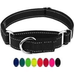 Country Brook Petz Reflective Nylon Martingale Dog Collar -Pet Shop GUEST dc4fb9ae 8633 4896 88e5 3b8921284ce6