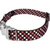 Country Brook Petz Premium Shibuya Dog Collar Limited Edition -Pet Shop GUEST dc82dfa7 2b1b 41d4 ad9f 629f8c73bae3