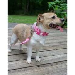 Country Brook Petz Pink Hawaiian Martingale Dog Collar And Leash