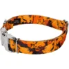 Country Brook Petz Premium Orange Sunset Camo Dog Collar