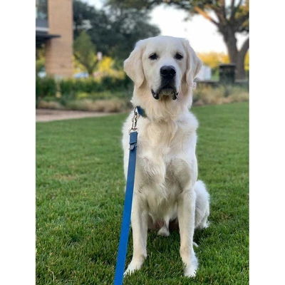 Country Brook Petz 3/4 Inch Nylon Dog Leash 3 Country Brook Petz 3/4 Inch Nylon Dog Leash