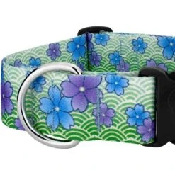 Country Brook Petz HossFit Jr Wide Deluxe Dog Collar - Spring Collection -Pet Shop GUEST dcf58396 1927 42fc ae39 46551b172262