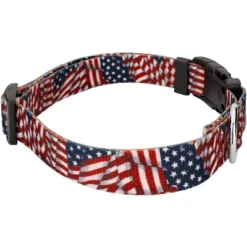 Country Brook Petz Patriotic Tribute Deluxe Dog Collar - Made In The U.S.A. (1 Inch, Extra Large) -Pet Shop GUEST ddf7add8 d846 445f 9a02 c5b190bec9f0